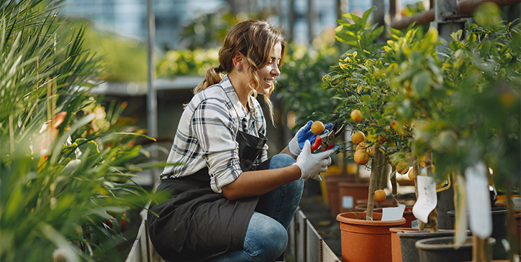 Horticulture Services
