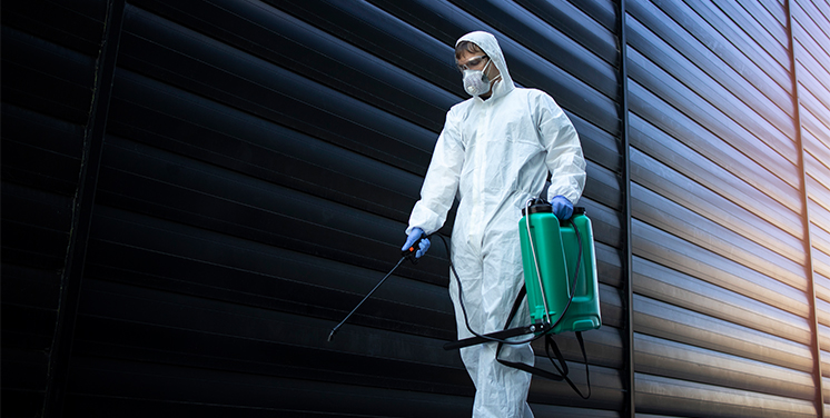 Pest Control